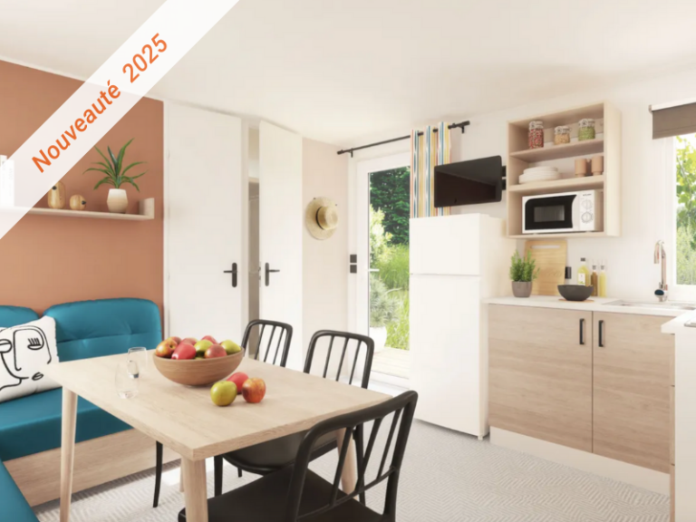 Location mobil-home climatisé au Pradet près Hyères dans le Var